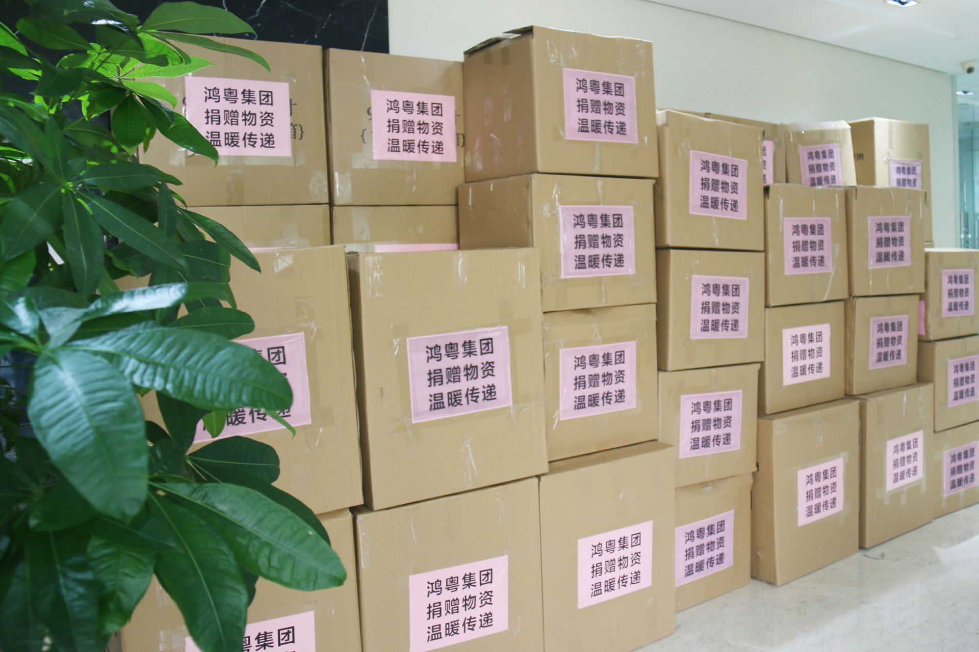 九游·官方站网页版-九游(中国)公益回顾丨家国同欢月同圆 温暖满载甘孜州(图1)